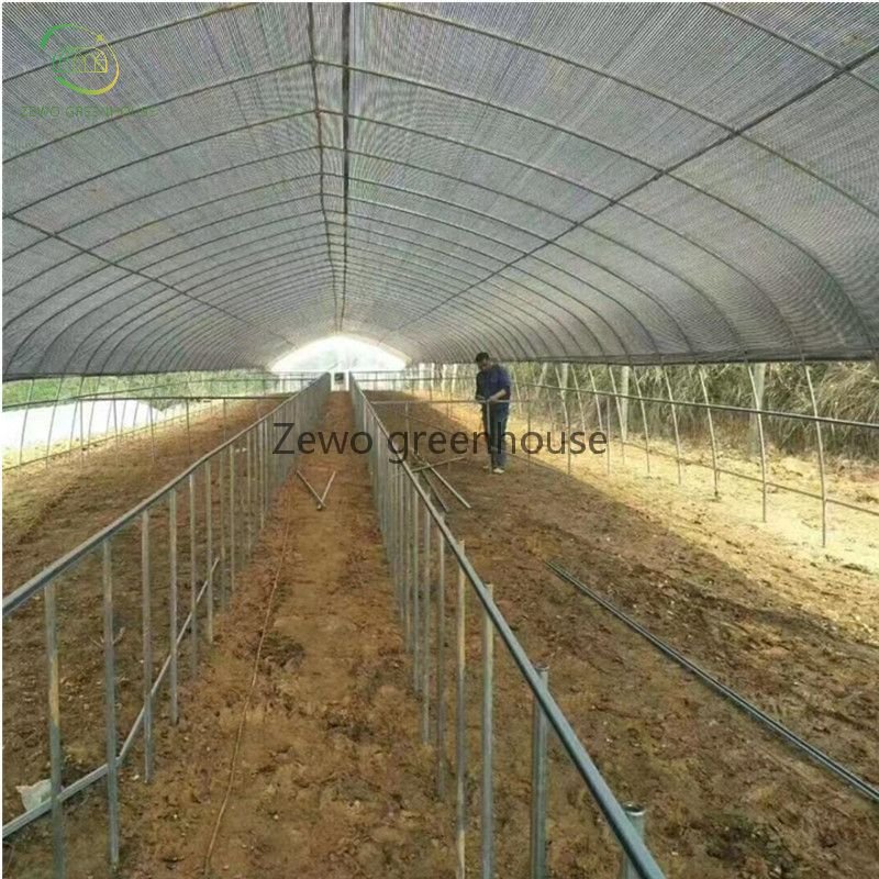 Wuxi Zewo House Film Filmsale Single Spanagricultural Greenhouses Green Agricultural Large Strawberry Seeds Po/ PE Film 275g