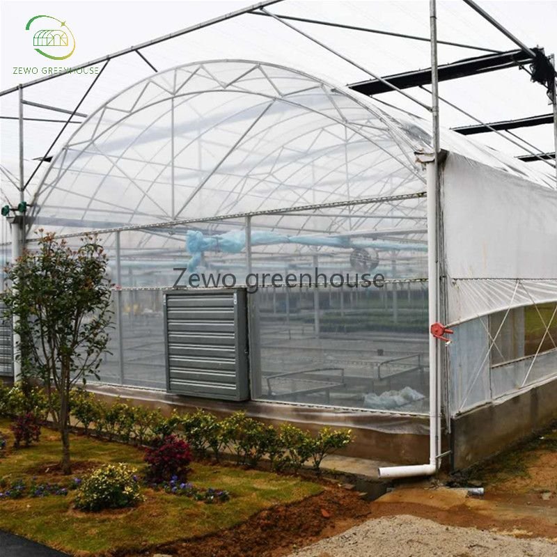 Wuxi Zewo House Film Filmsale Single Spanagricultural Greenhouses Green Agricultural Large Strawberry Seeds Po/ PE Film 275g