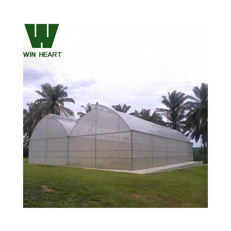 Cheap Price Sawtooth Greenhouse for agricultural use