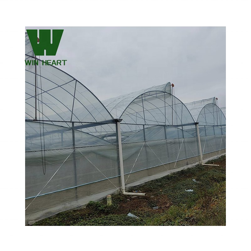 Cheap Price Sawtooth Greenhouse for agricultural use