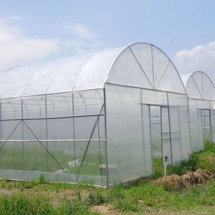 Good Quality And Easily Installed Agricultural/Commercial Green House Greenhouse