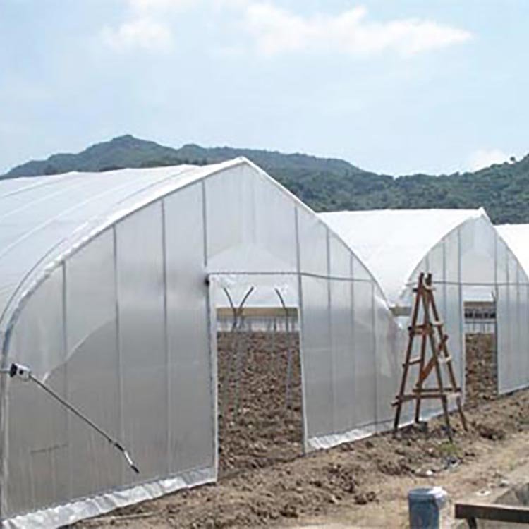Good Quality And Easily Installed Agricultural/Commercial Green House Greenhouse