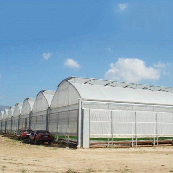 Good Quality And Easily Installed Agricultural/Commercial Green House Greenhouse