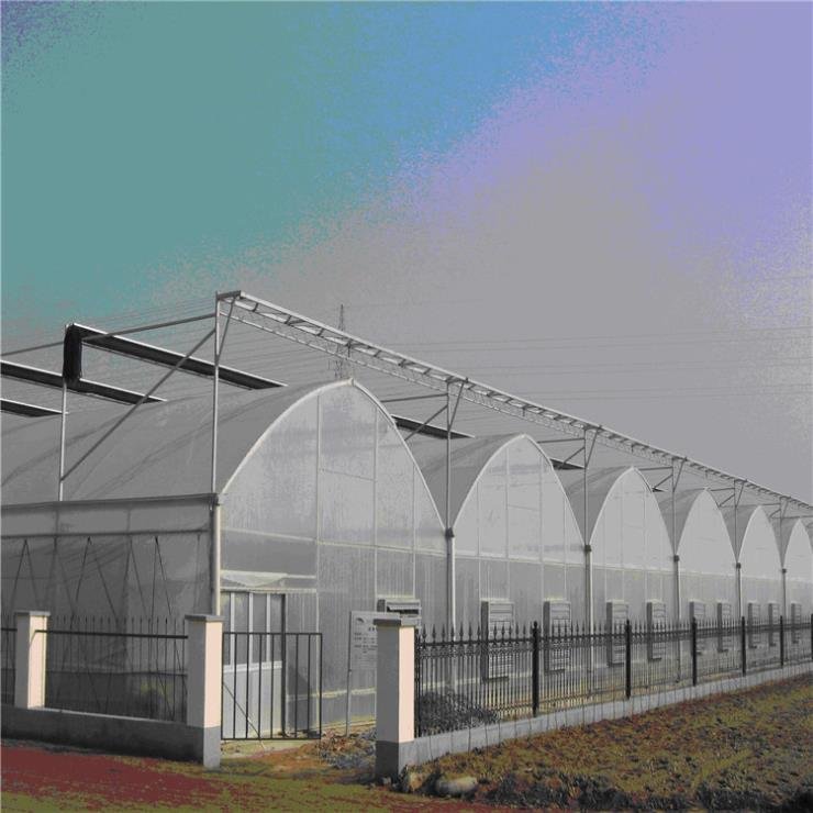 Serre agricole Plastic film greenhouse hydroponics Green house system multi-span agricultural greenhouses china