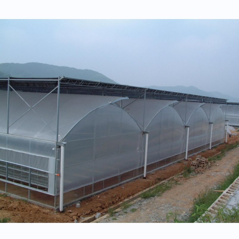 Serre agricole Plastic film greenhouse hydroponics Green house system multi-span agricultural greenhouses china