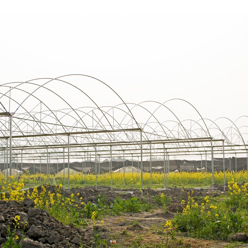 Serre agricole Plastic film greenhouse hydroponics Green house system multi-span agricultural greenhouses china