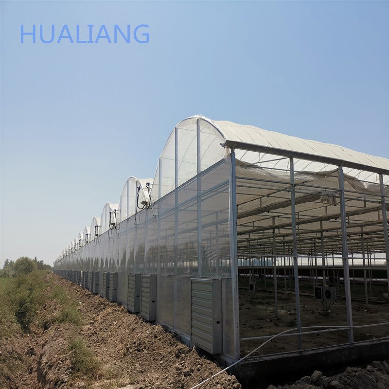 Serre agricole Plastic film greenhouse hydroponics Green house system multi-span agricultural greenhouses china