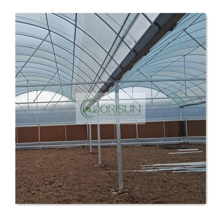 multi-span pre fabricated steel Green House used commercial cold frame greenhouse industrial solar greenhouse agriculture