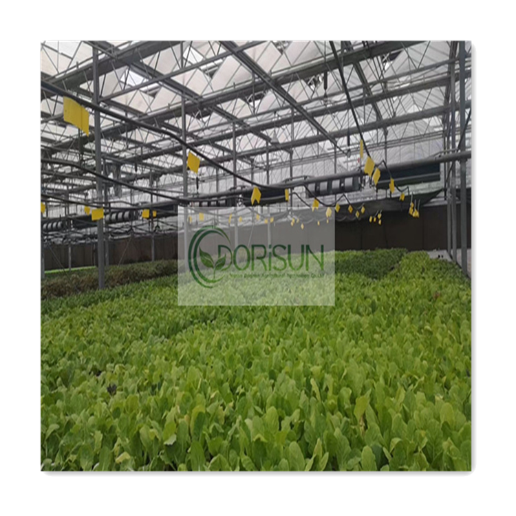 multi-span pre fabricated steel Green House used commercial cold frame greenhouse industrial solar greenhouse agriculture