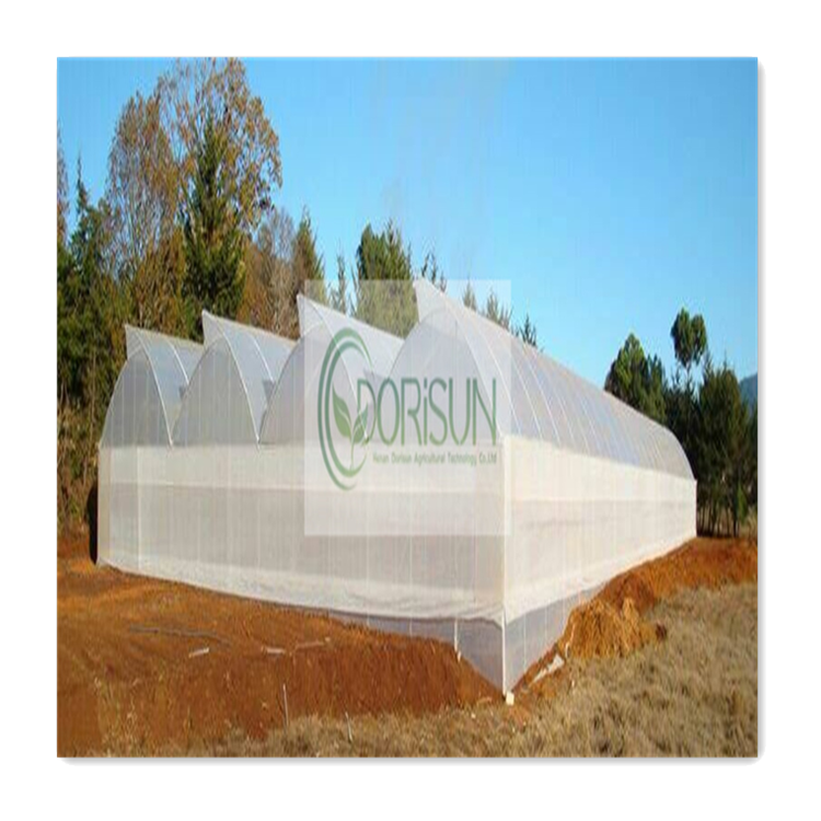 multi-span pre fabricated steel Green House used commercial cold frame greenhouse industrial solar greenhouse agriculture