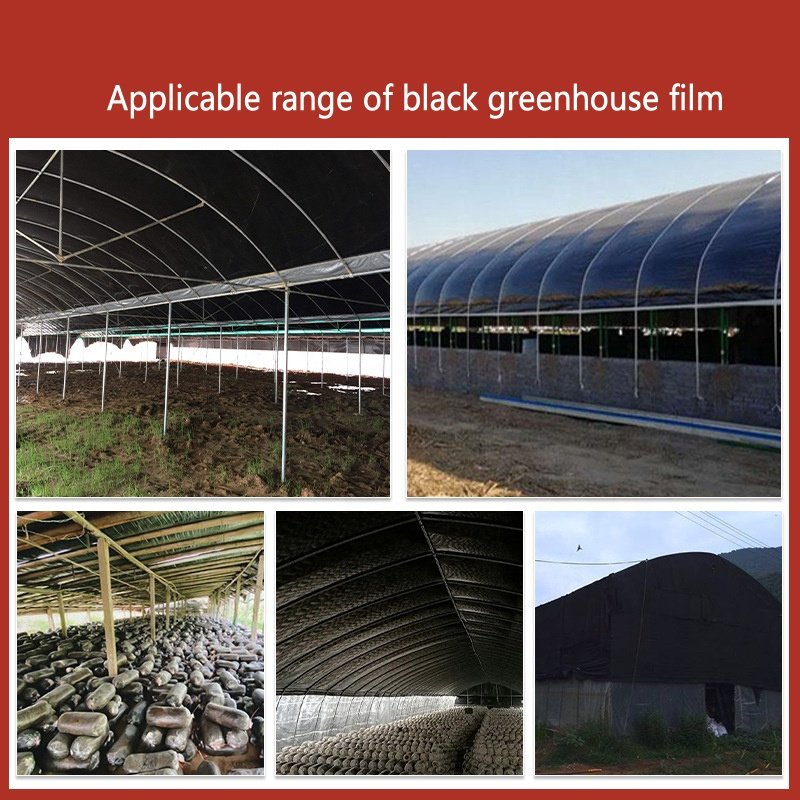 200 Micron Green House PE Plastic Uv Treated 200 Micron Cover 6mil Silage Sheeting Reinforced Greenhouse Film For Growing House