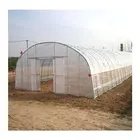 Single-Span Tunnel Greenhouse Agricultural Hydroponic Tomato Greenhouse With Film