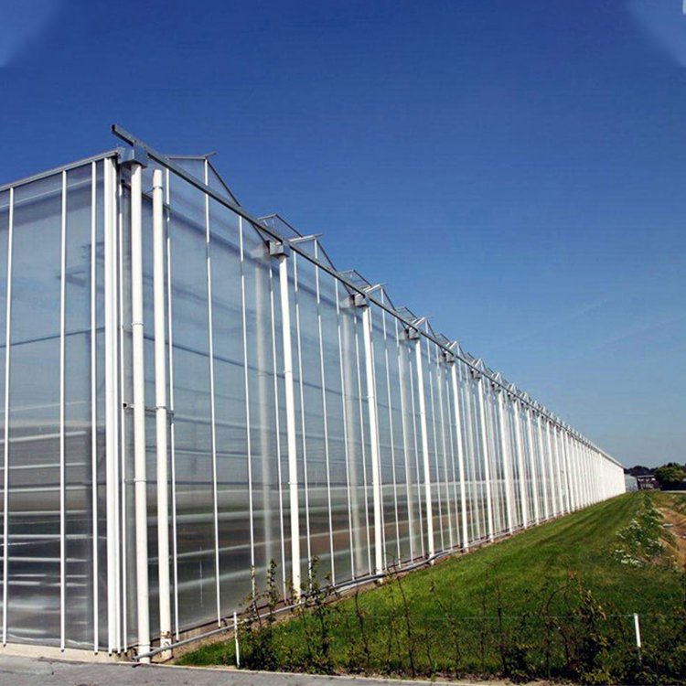 Complete Vegetables Growing Multi-span Greenhouse Fiberglass Glass Agricultural Greenhouse