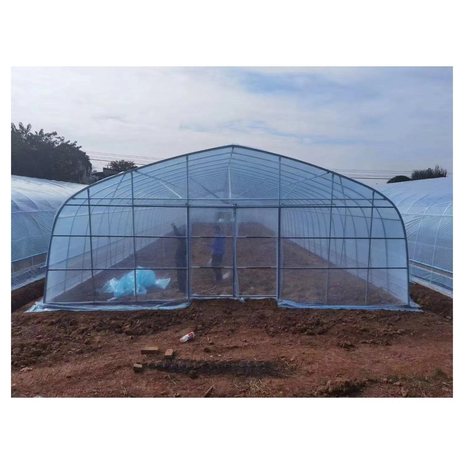 High Tunnel Single Span Agricultural Greenhouse Plastic Film Agricultural Tomato Zinc Steel Framed Pointed Arches