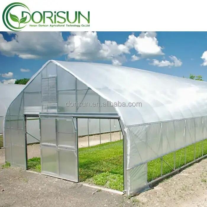 Large Size High Tunnel Agricultural Greenhouse for Tomato