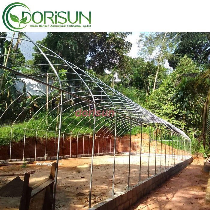 Large Size High Tunnel Agricultural Greenhouse for Tomato