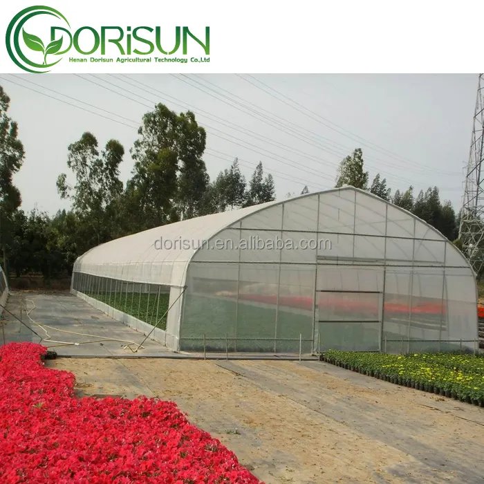 Large Size High Tunnel Agricultural Greenhouse for Tomato