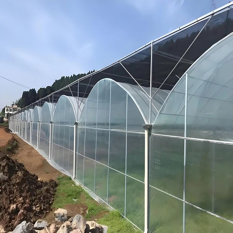 Low cost multi span hot dip galvanized frame Vegetable greenhouse with tomato hydroponic system