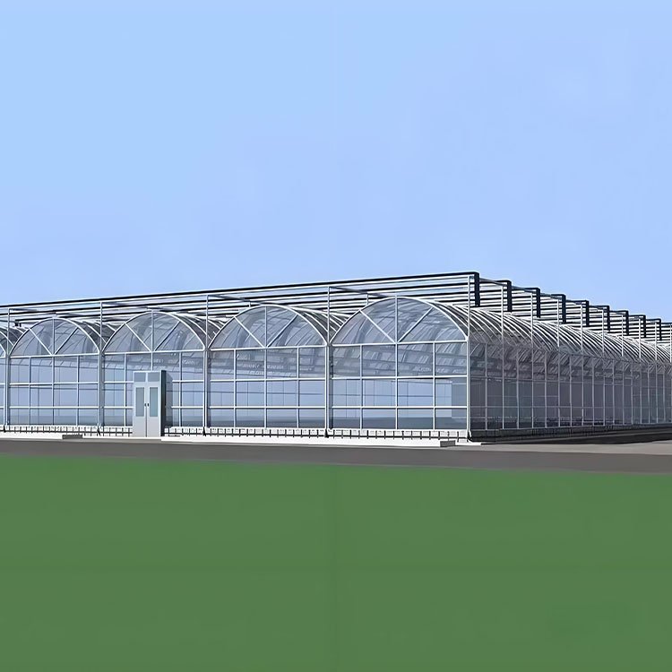 Low cost multi span hot dip galvanized frame Vegetable greenhouse with tomato hydroponic system