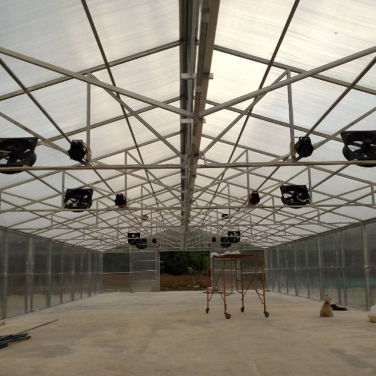MYXL Strength Manufacturers 6mm 8mm 10mm Pc Board Polycarbonate Greenhouse