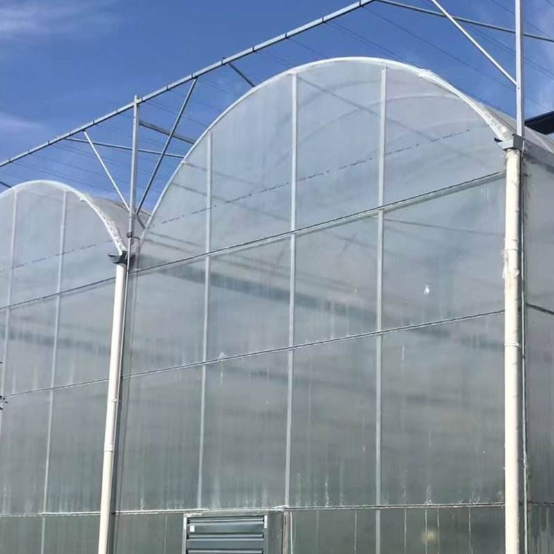 Polyethylene Double Wall Greenhouse Full Passive Solar Greenhouse for Winter
