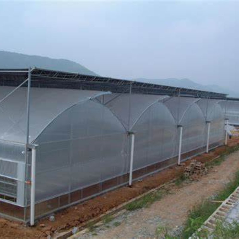 Polyethylene Double Wall Greenhouse Full Passive Solar Greenhouse for Winter