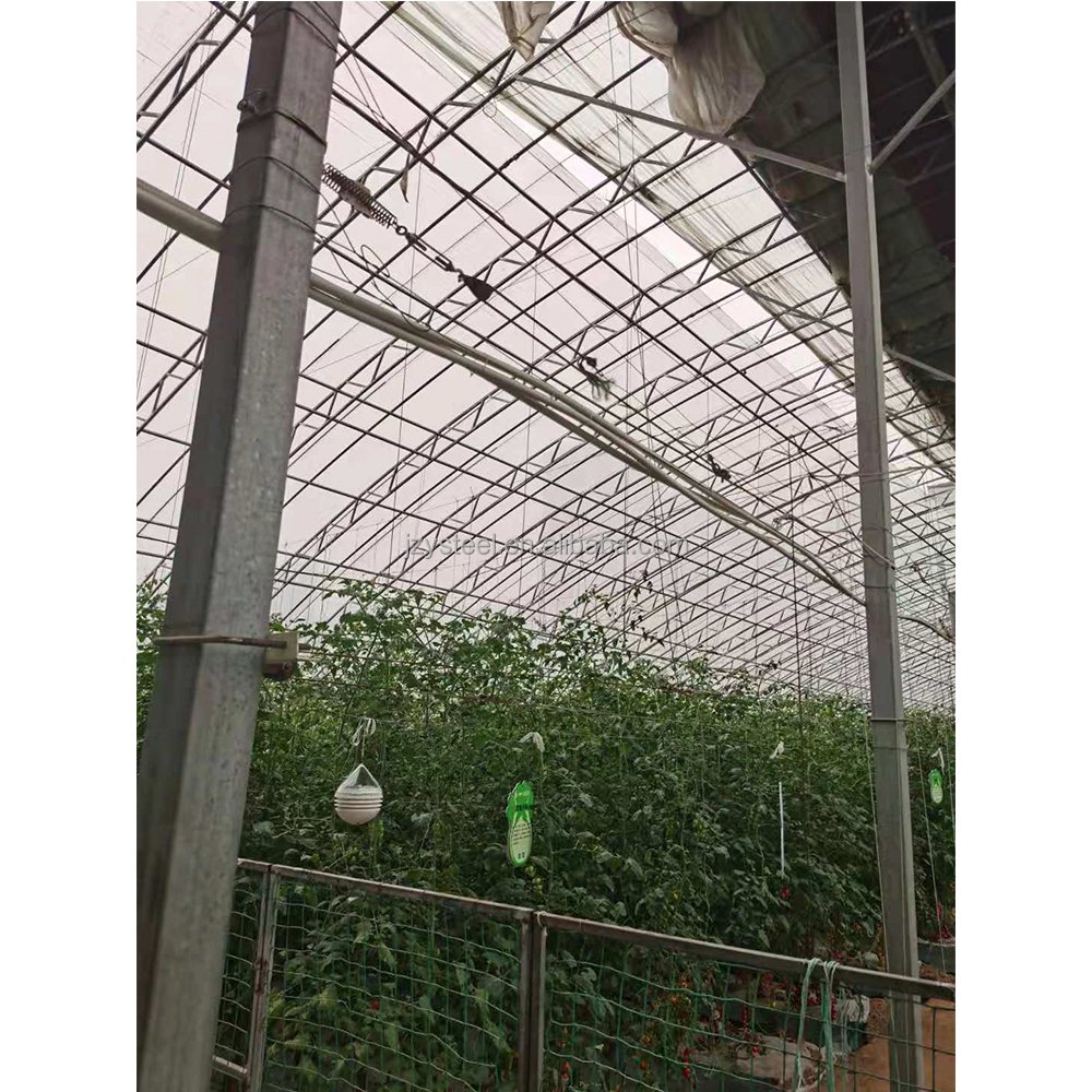 Good Quality And Easily Installed Agricultural Commercial Green House Greenhouse