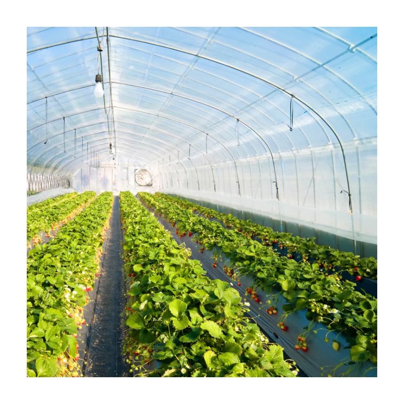 Agriculture Greenhouse Polyethylene Film For Greenhouse Film Plastic
