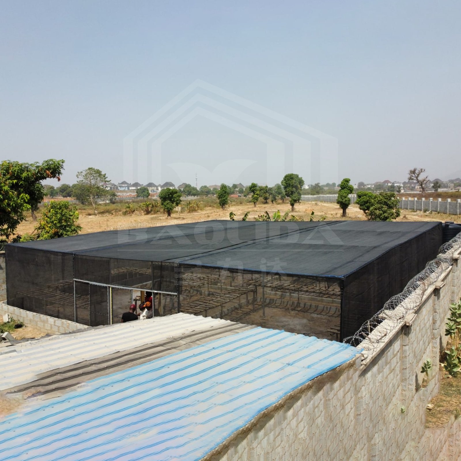 Baolida China serre agricole custom Africa covered outdoor low cost green houses rectangle agricultural greenhouses for planting