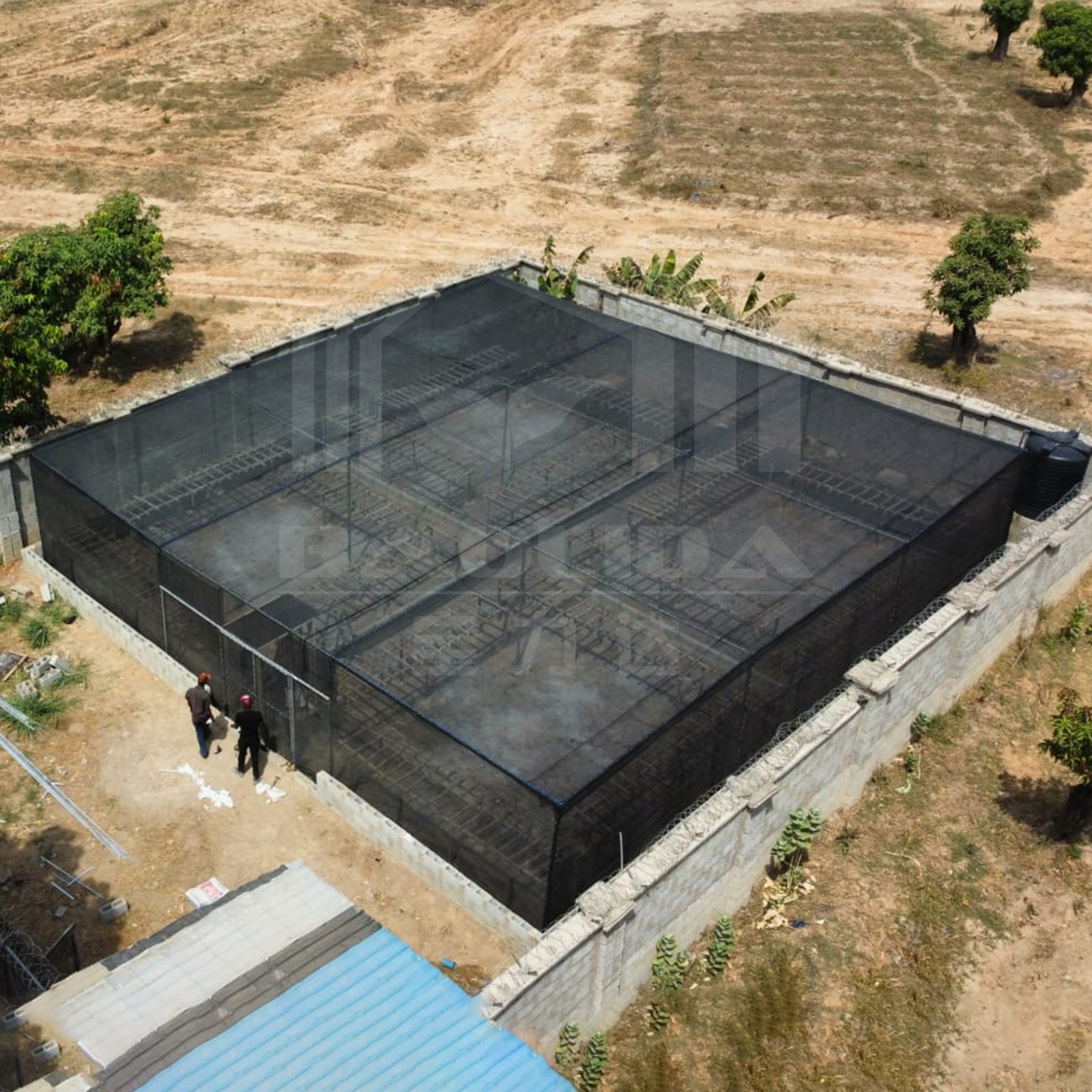 Baolida China serre agricole custom Africa covered outdoor low cost green houses rectangle agricultural greenhouses for planting