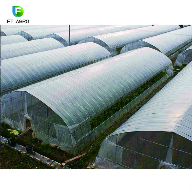 China Vegetables Greenhouse Film Agricultural Greenhouse Film Agricultural Greenhouse