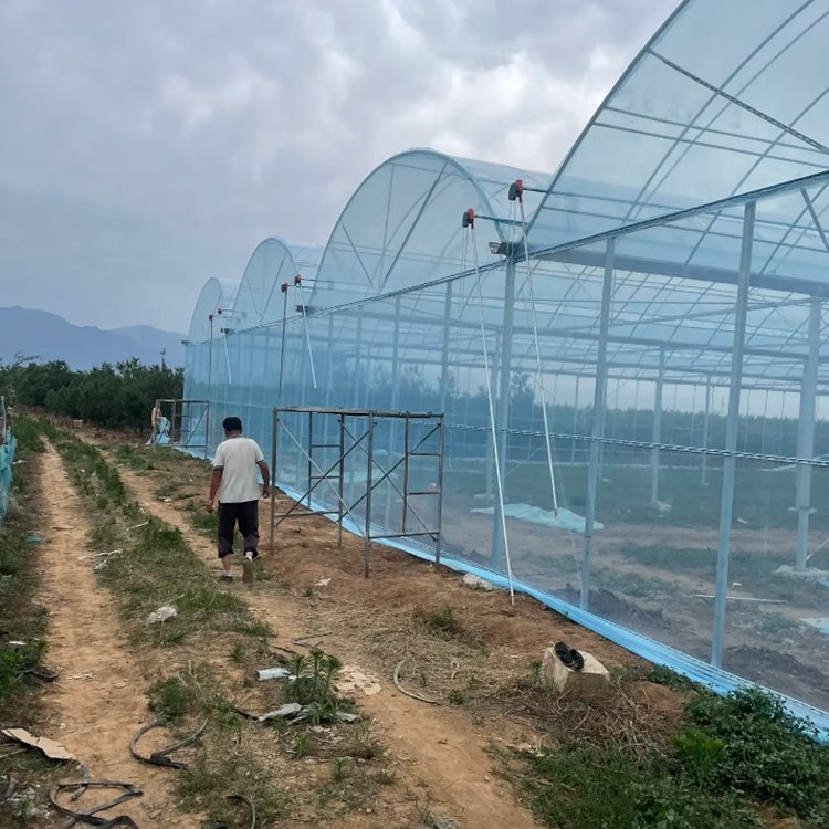supply tomato planting invernadero layer multi span green house plastic film commercial agriculture greenhouse