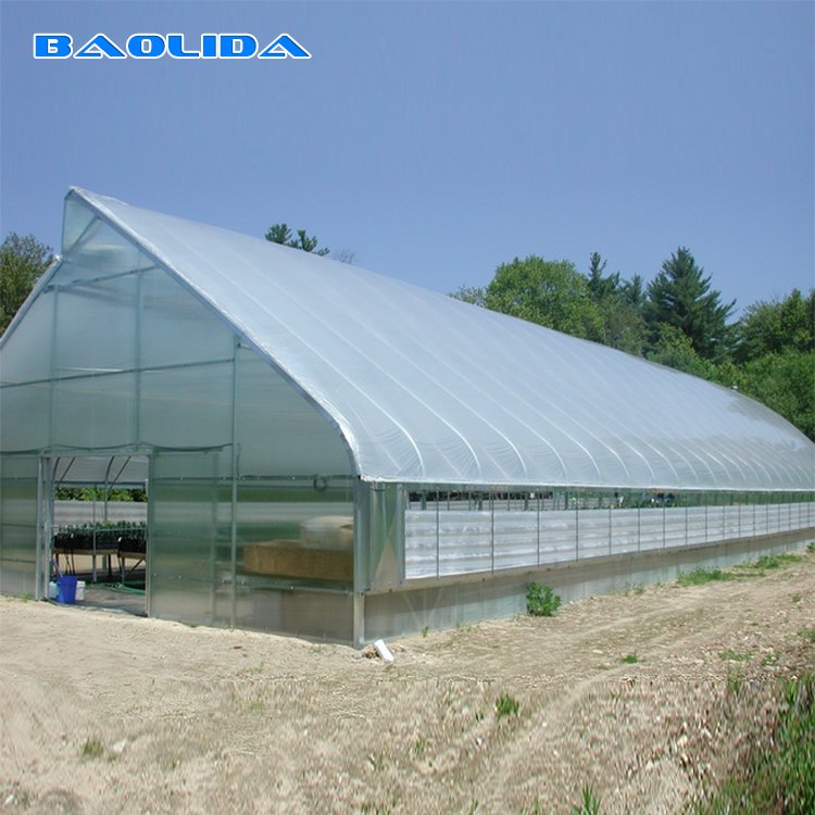 Agricultural Plastic Film Single-Span Greenhouse With Popular Drip Irrigation Equipment