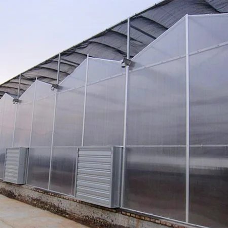 Intelligent Multi-span Agricultural Greenhouse Farming Pc Green House For Vegetable