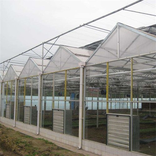 Intelligent Multi-span Agricultural Greenhouse Farming Pc Green House For Vegetable