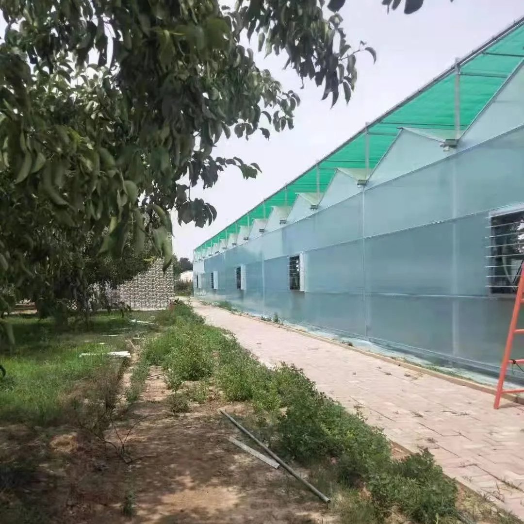 Intelligent Multi-span Agricultural Greenhouse Farming Pc Green House For Vegetable