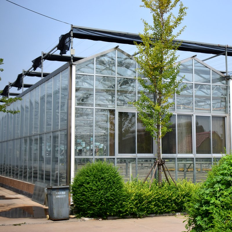 Greenhouse Construction /Cheap intelligent agricultural multi-span glass greenhouse hydroponic greenhouse