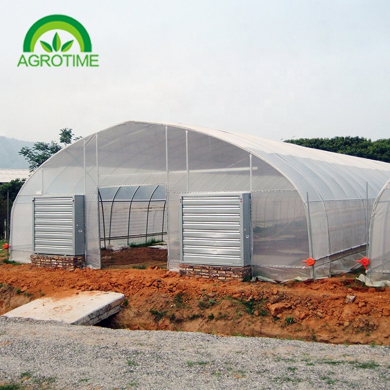 cheap price agricultural greenhouse for mushroom farming