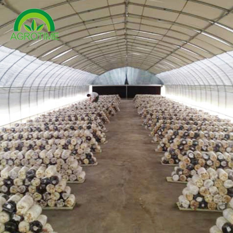 cheap price agricultural greenhouse for mushroom farming