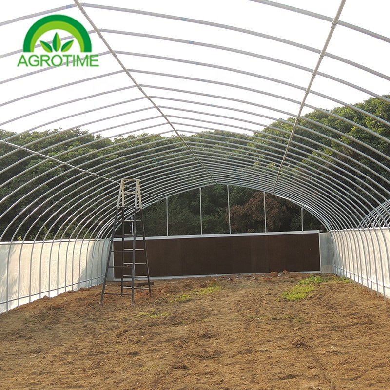 cheap price agricultural greenhouse for mushroom farming