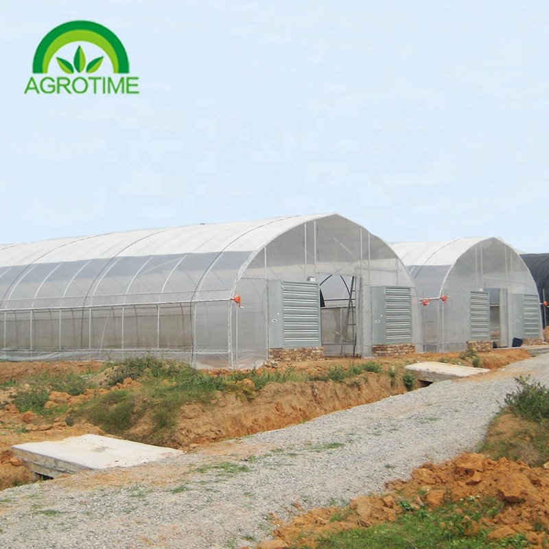 cheap price agricultural greenhouse for mushroom farming