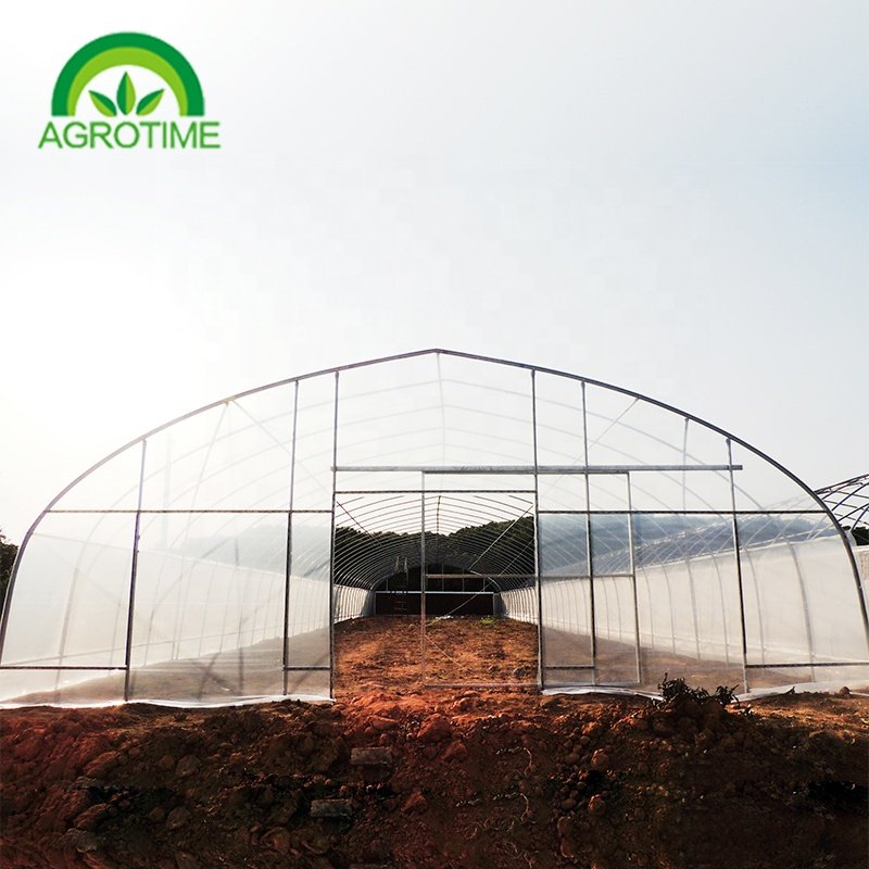 cheap price agricultural greenhouse for mushroom farming