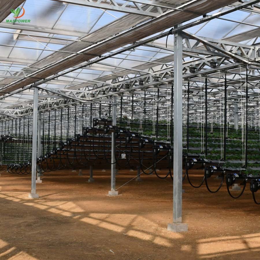 8 12 15 10mm polycarbonate greenhouse multi-span for sale ,tomato ,lettuce , blueberry growing