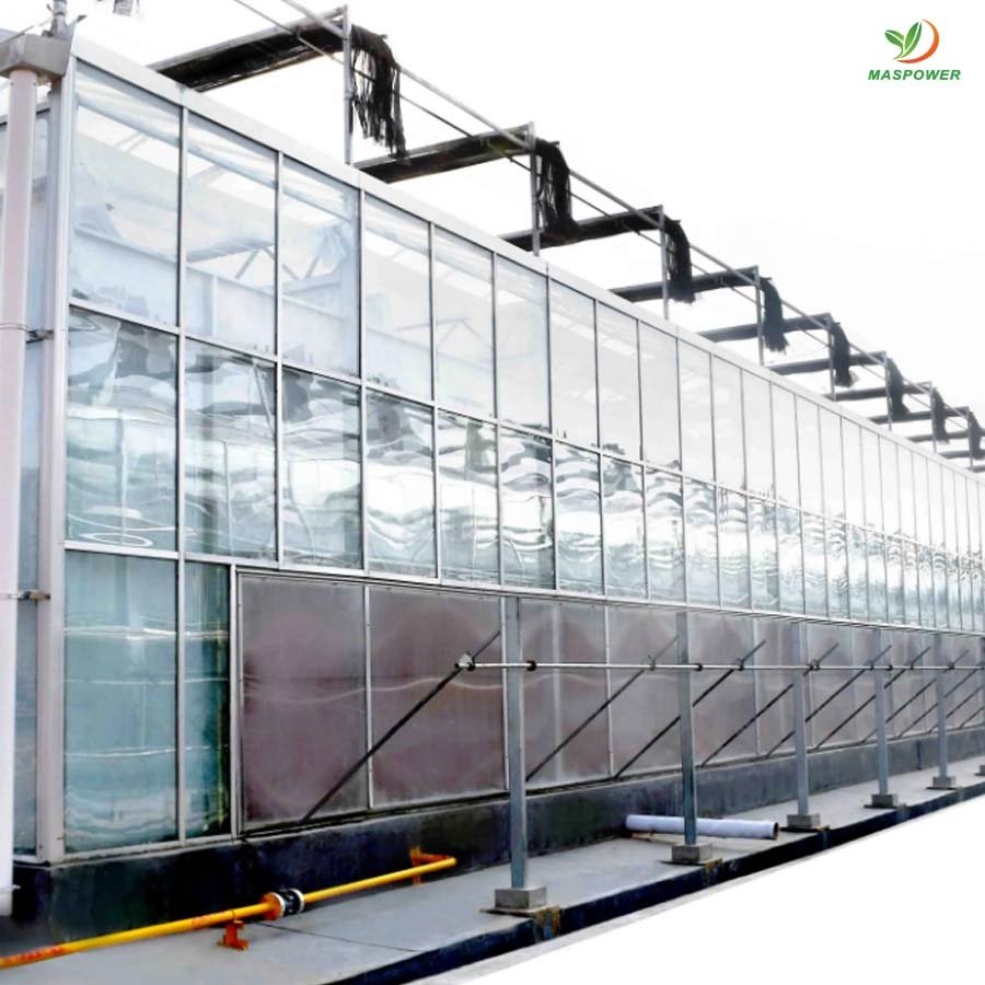 8 12 15 10mm polycarbonate greenhouse multi-span for sale ,tomato ,lettuce , blueberry growing
