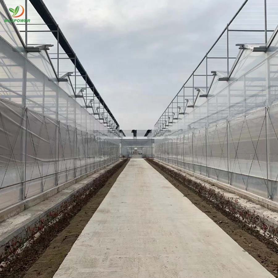 8 12 15 10mm polycarbonate greenhouse multi-span for sale ,tomato ,lettuce , blueberry growing