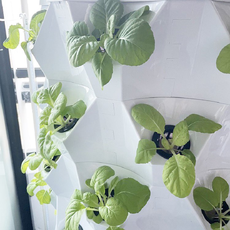 Agricultural Greenhouse Rotary Aeroponic Tower Garden Vertical Hydroponic System
