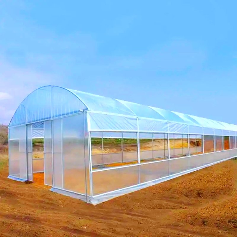 High Quality Galvanized Frame Tunnel Ventilation Single-Span Agriculture Greenhouse For Sale