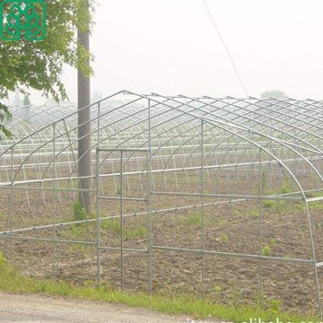 Large Size Agricultural Greenhouse Frames for sale