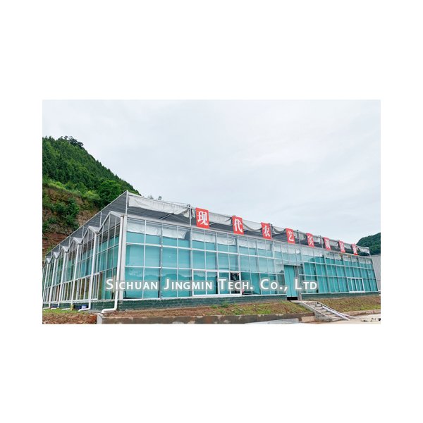 Agricultural Multi-span Venlo Type Glass Greenhouse Multifunctional Green house with Hydroponic system for Mushroom Vegetable