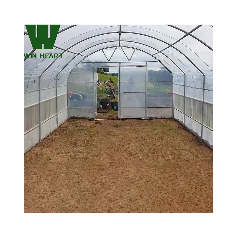 Win Heart Galvanized Structure single-span greenhouse for plants